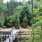 Forest Cosy In Hambachtal Park *