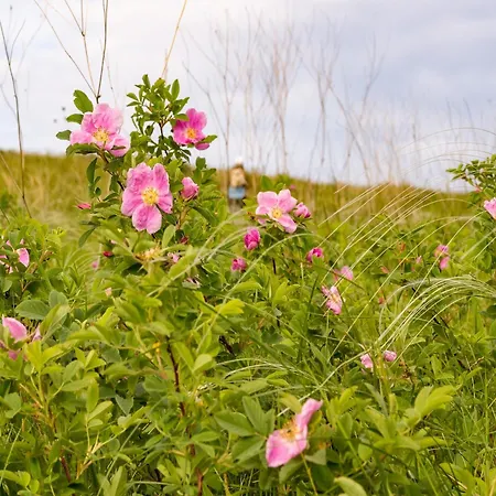 Appartement Forest Cosy In Hambachtal Park *