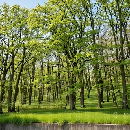 Forest Cosy In Hambachtal Park Appartement Oberhambach