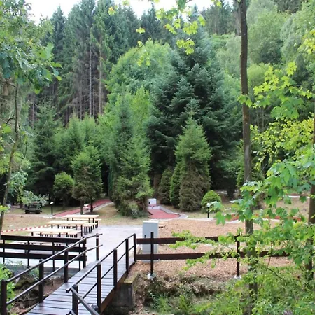 Forest Cosy In Hambachtal Park Apartament Oberhambach