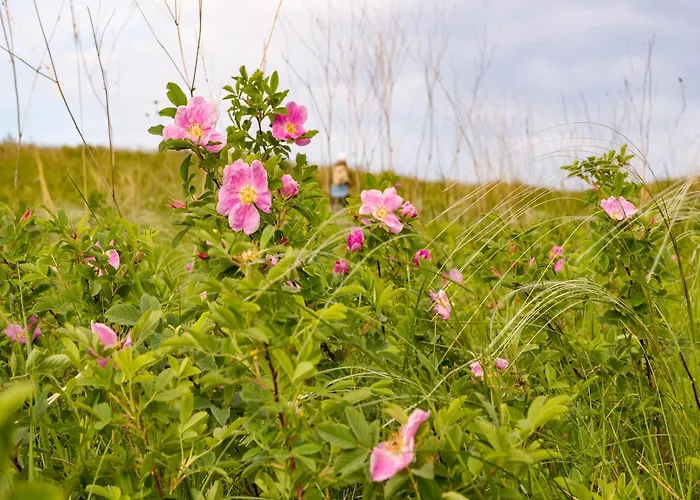 Appartamento Forest Cosy In Hambachtal Park *