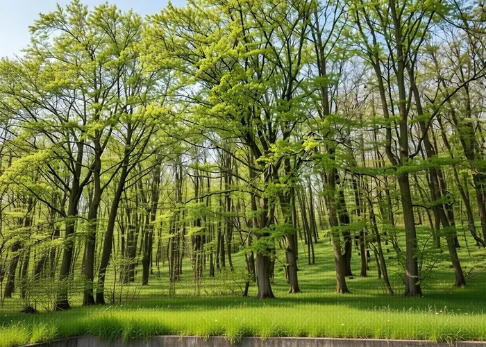 Forest Cosy In Hambachtal Park Appartamento Oberhambach